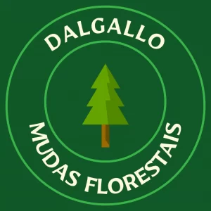 Empresa Amiga APAE - Dalgallo Mudas Florestais